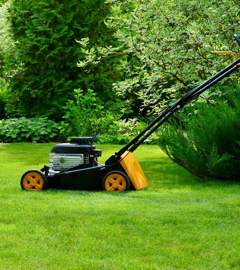 Entreprise de jardinage à Enghien-les-Bains dans le Val d'Oise 95 contactez Renard Elagage